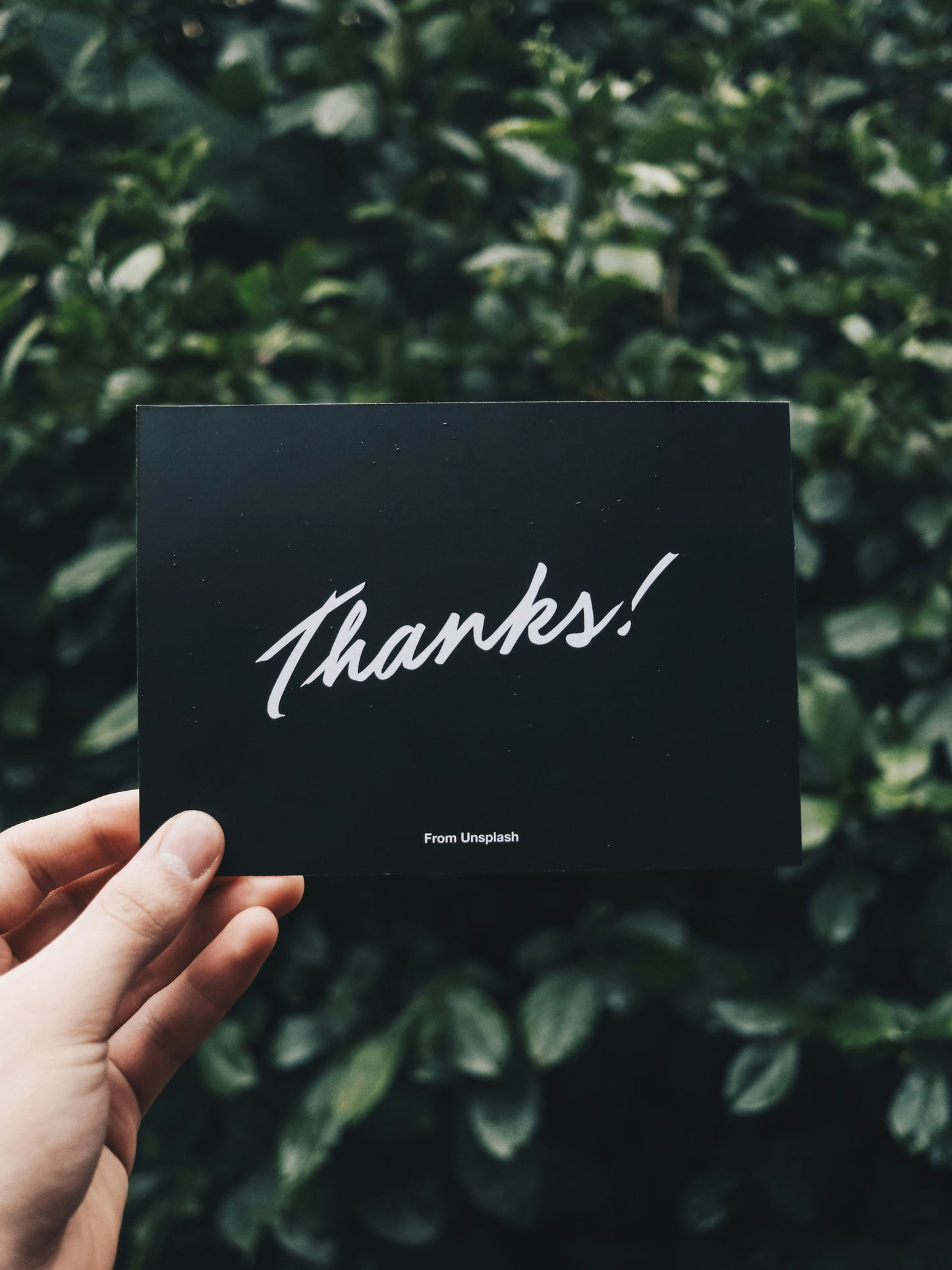 Greeting & Note Cards